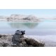 Dji Mini 3 Pro - DJI RC Kumanda Dji Mini 3 Pro - DJI RC Kumanda